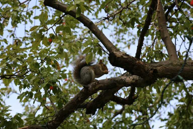 foto: ©Harry Spink, Unsplash