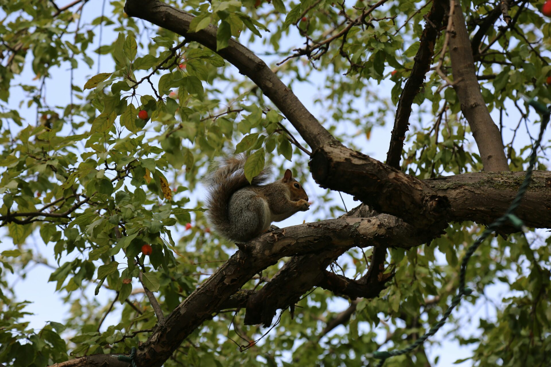 foto: ©Harry Spink, Unsplash