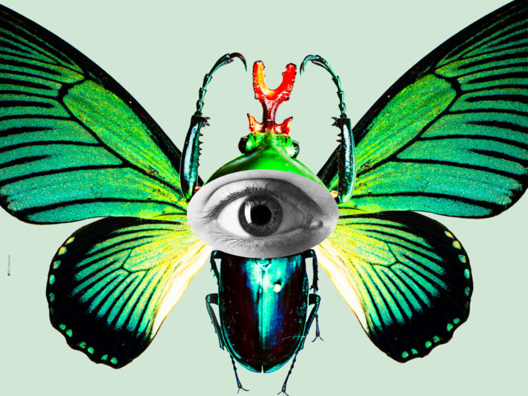 locandina mostra Elogio della diversità